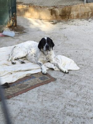 Meet Deisy – A Soul Still Learning to Trust