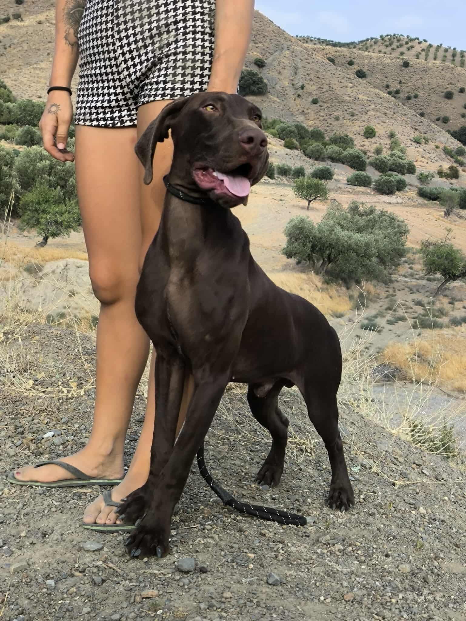 Boomer… Boom straight into your heart!