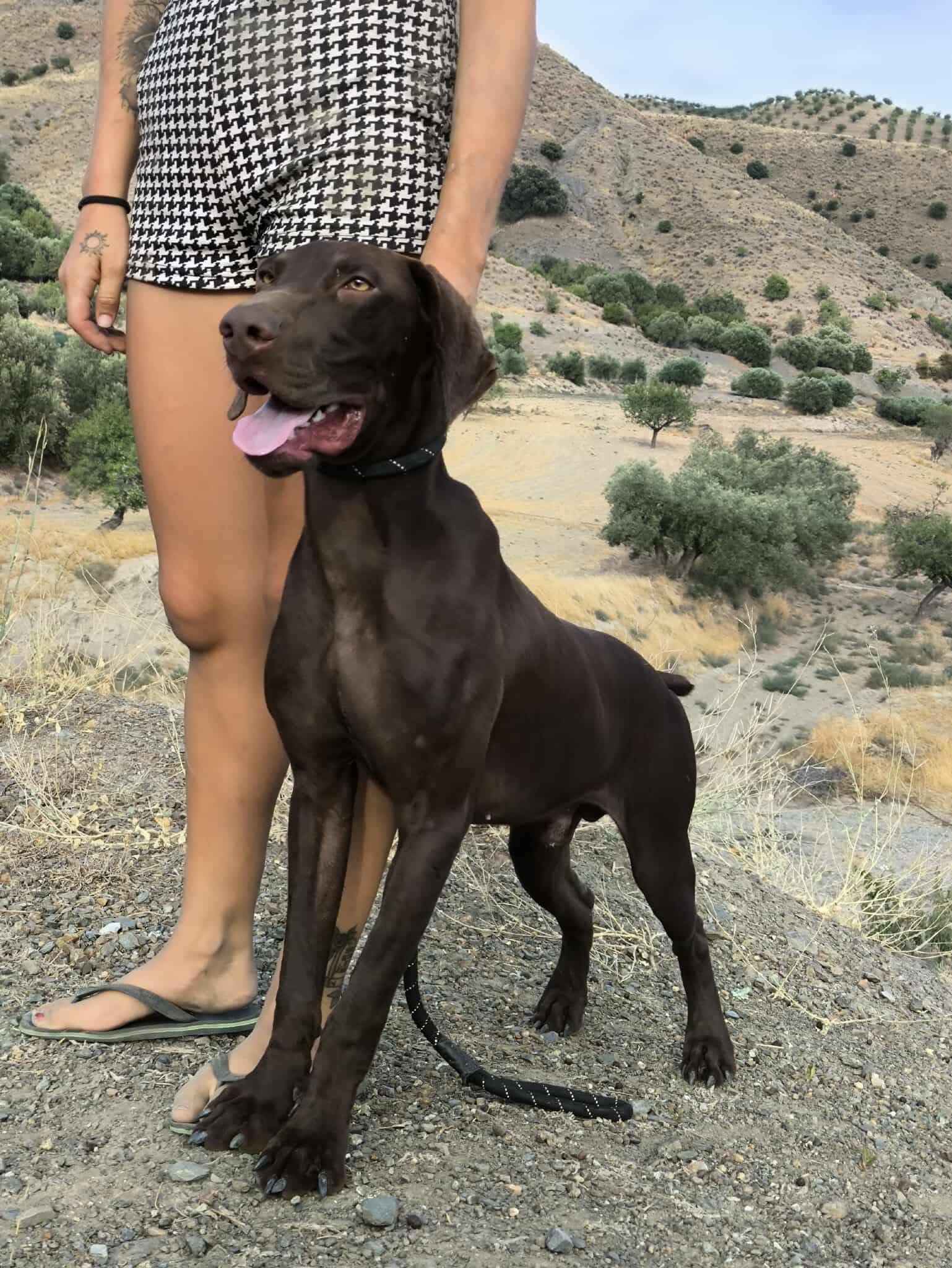 Boomer… Boom straight into your heart!