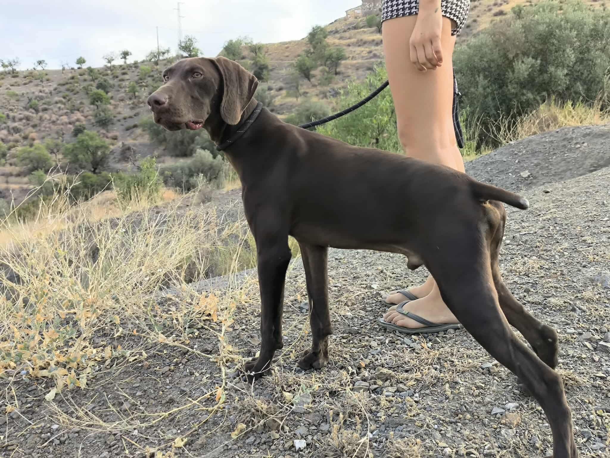 Boomer… Boom straight into your heart!