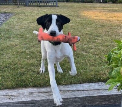 Nancy -A little sweet soul with a big heart.