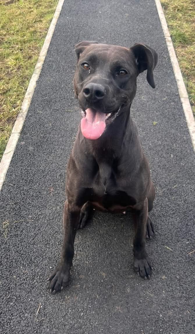 Lottie (Adopted May 2026)