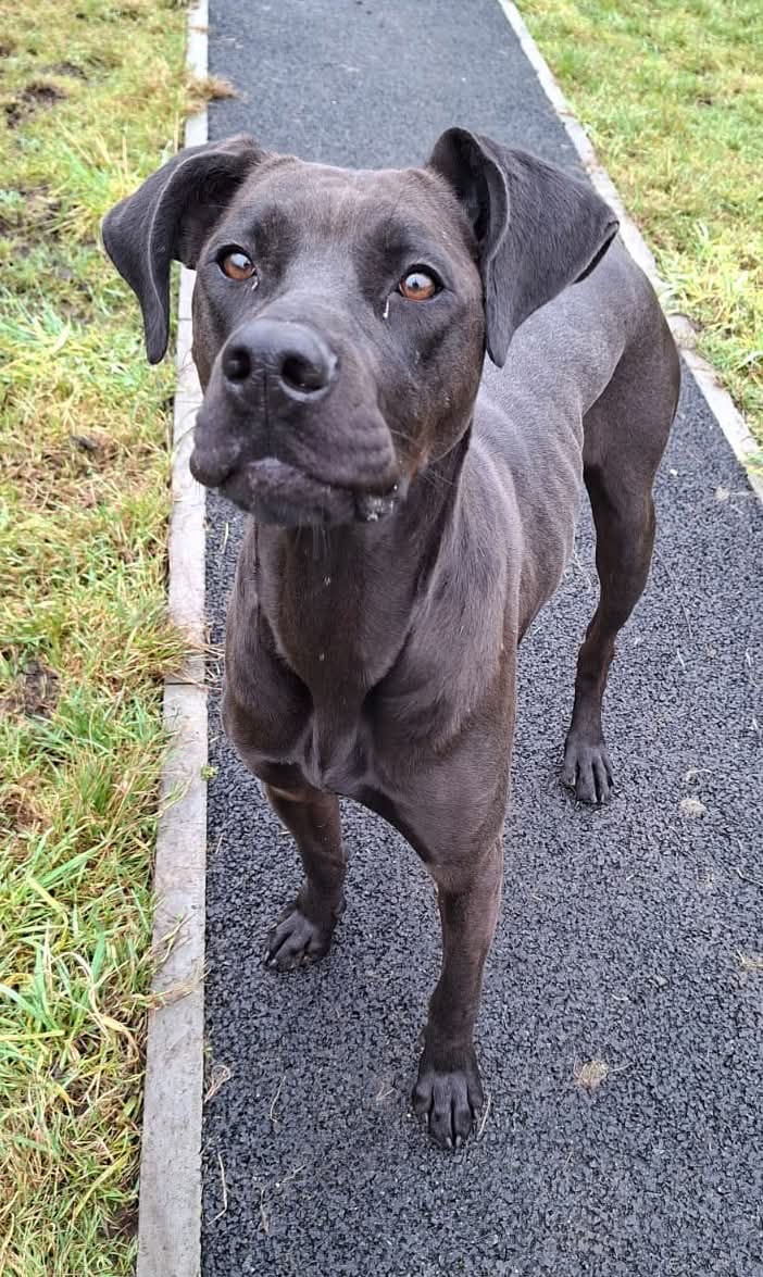 Lottie (Adopted May 2026)
