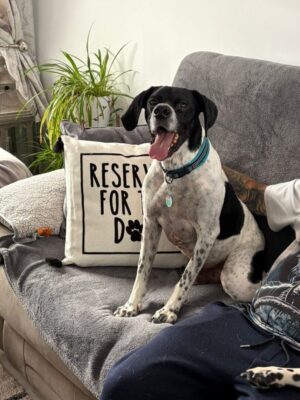 Rufus